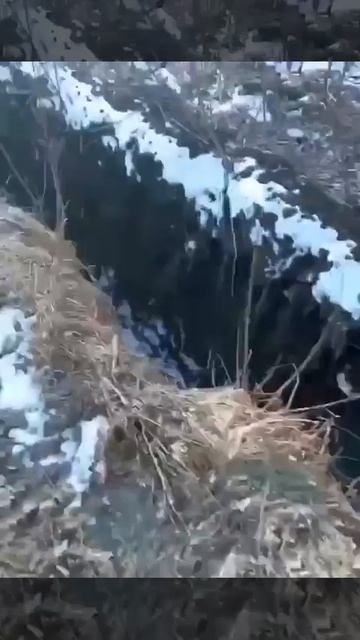 Переговоры переговорами, а обменный фонд сам себя не пополнит.