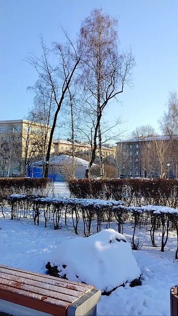 Редкий солнечный денёк в Петербурге ☀️