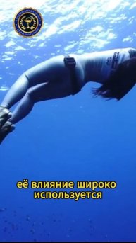 В глубине океана: магия дайвинга" 🌊🤿