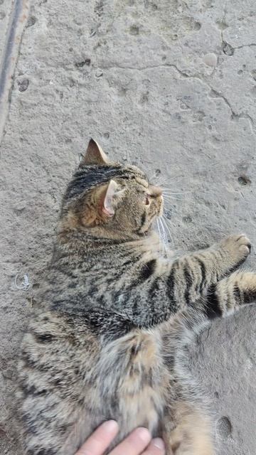 Волшебники, спасибо за помощь на ремонт Добромобиля!