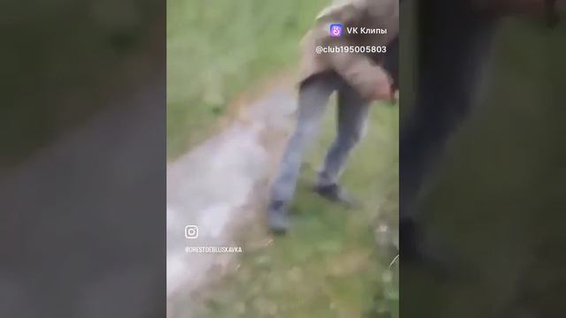 Прикол