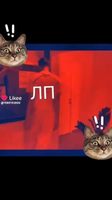 Влад а 4 и глент пчёлы