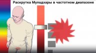 Чакры 01 Раскрутка Муладхары 1