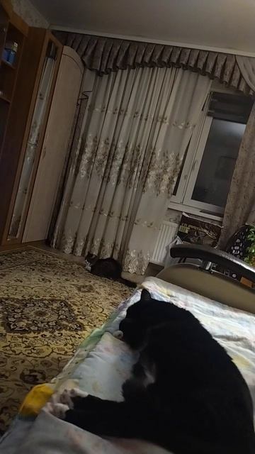 Девяткова