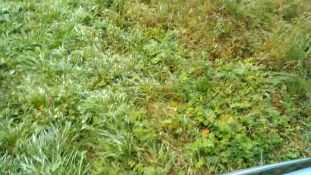 VID_20230827_094250.mp4