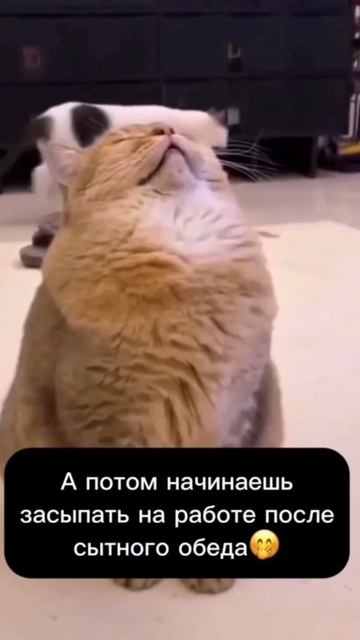 это точно