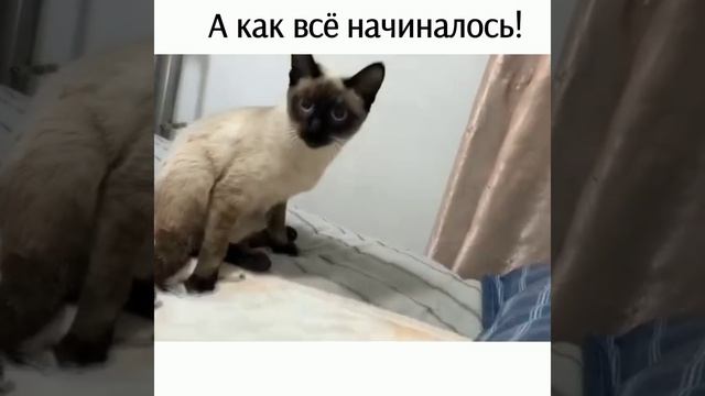 А как всё начиналось!