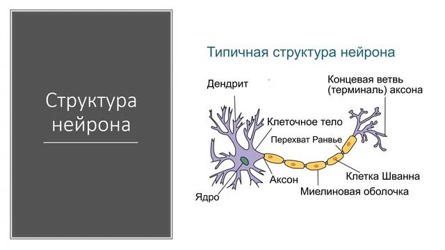Аналитика_технологических_данных_лекция_2_3