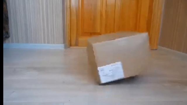 топ 5 видео с канала а не ка давай-ка