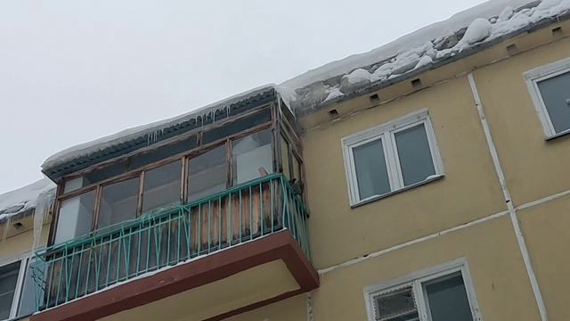 Белочка залезла на балкон! 🐿️ A squirrel 🐿️ climbed onto the balcony