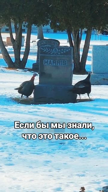 Если бы мы знали что это такое...
