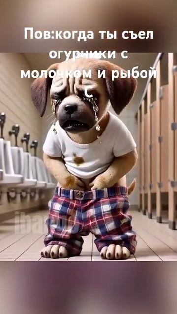 Охурцик з мовотскомь.