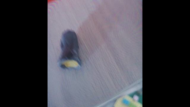....................................................................................................