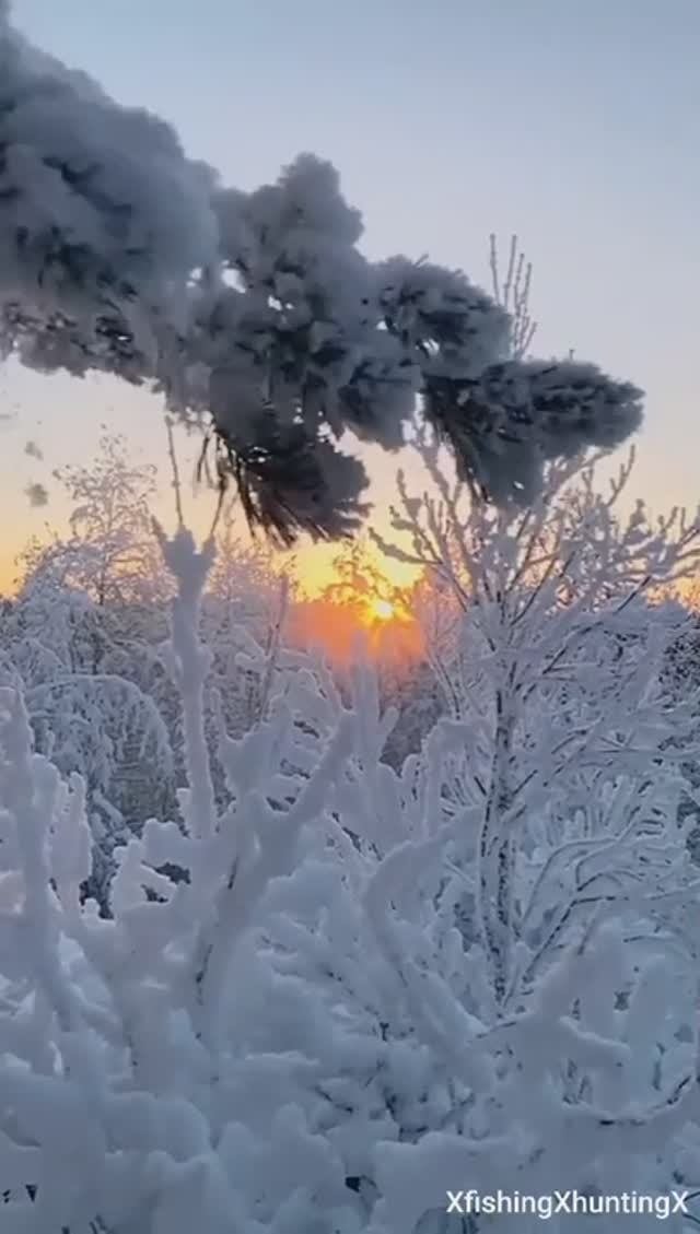 Зима