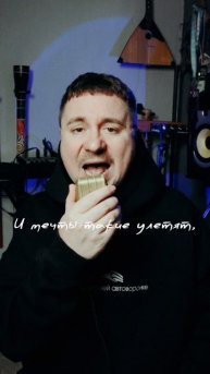 Снегири не гири, а барсуки не суки. #dark_voice_of_angelique #humor #cover #mashup