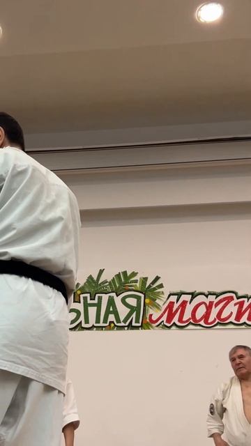 Кёкусин-Кик / Зимняя Школа ФКР-2025 / Уклон от джеба-3 / Сихан Станислав Винокуров (19)