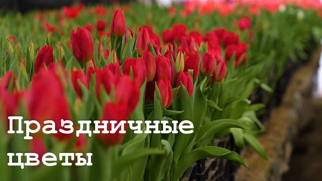 Подготовка к Международному женскому дню