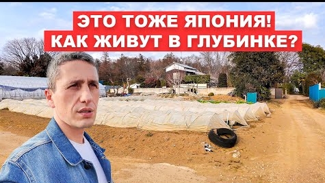 Повседневная Жизнь в Японской Глубинке: От Полей до Подворий