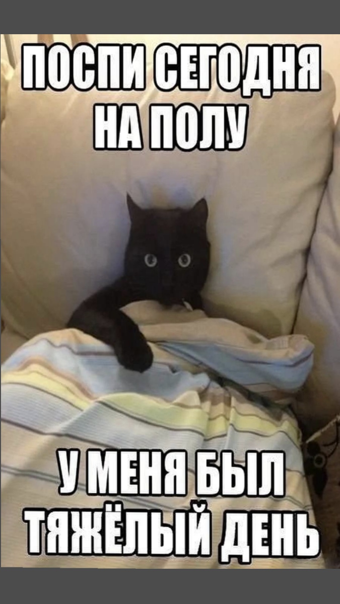 Гордый котейко