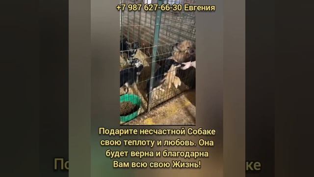 Спасибо большое за лекарства