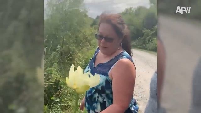 Try Not to Laugh Challenge Funny Fails