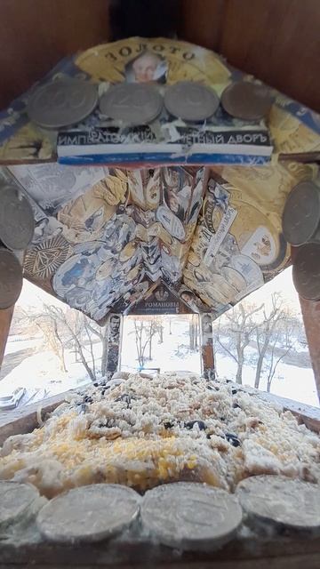 1000038442.mp4жизнь кормушки.13.02.2025г.