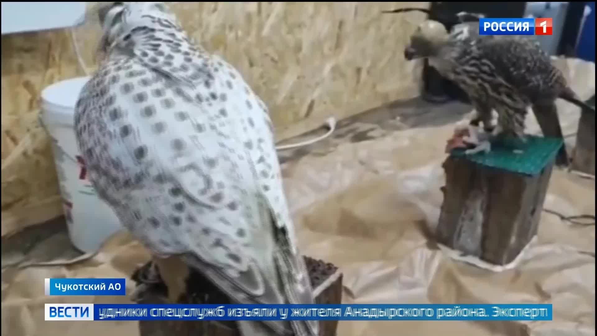 13.02.2025 Вести Сочи 11:30