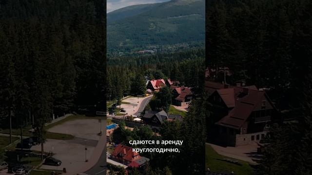 ⛷️ Лаго-Наки: место, где мечты превращаются в прибыль