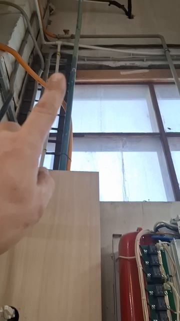 1000023843.mp4
