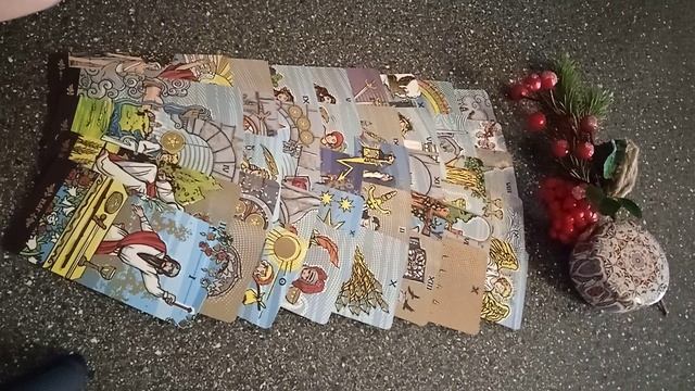 VID_20250213_100556.mp4