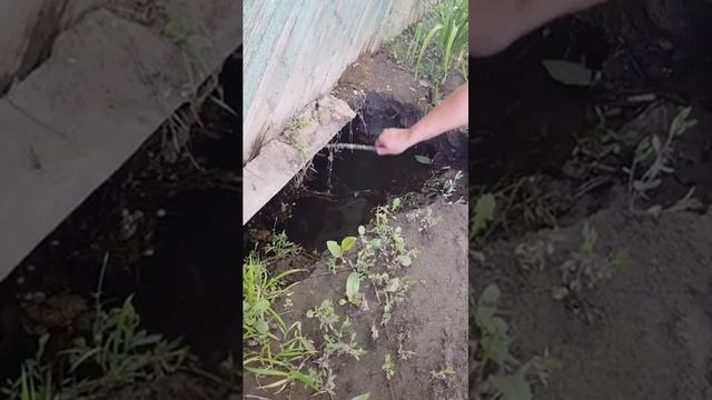 Затопление ипотечного дома. (Перезалив)