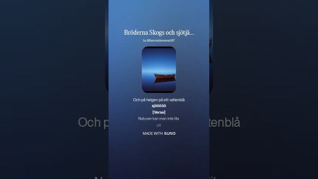 Bröderna Skogs och sjötjänst 2