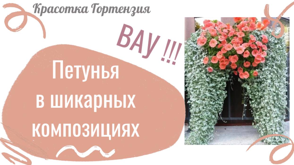 Петунья в шикарных композициях 🌿🌺👍