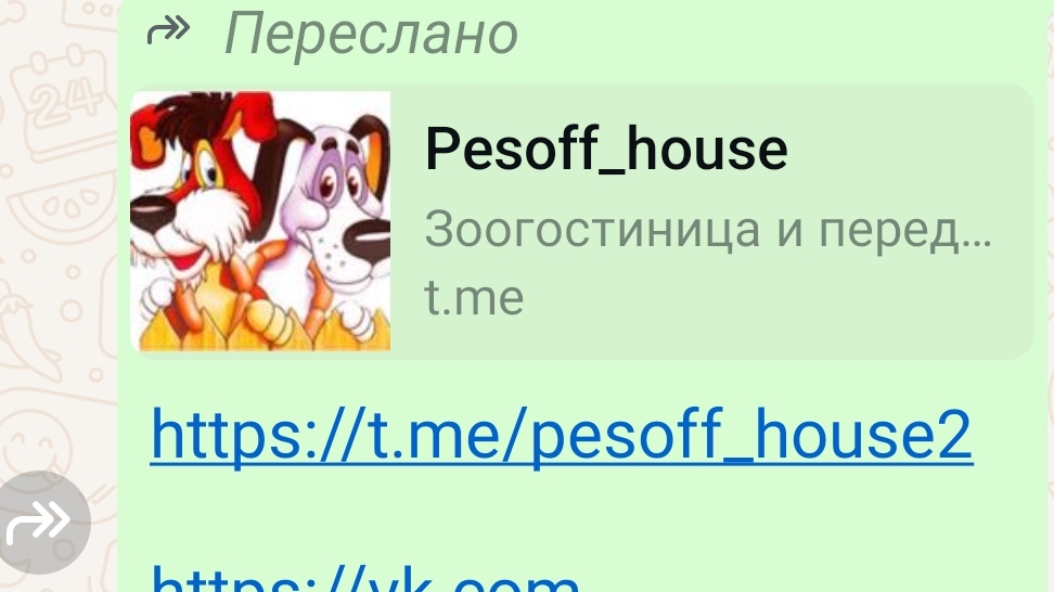 13-02-2025