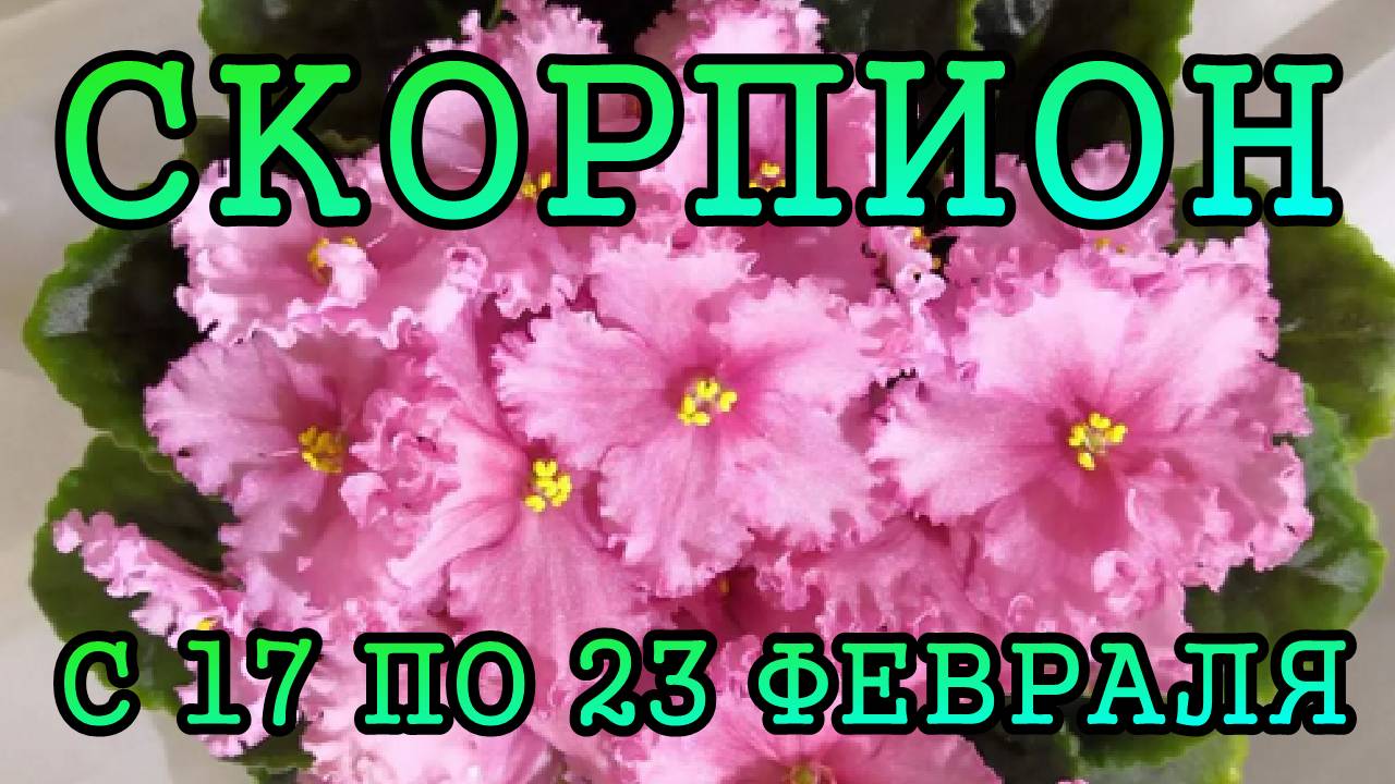 СКОРПИОН таро прогноз на неделю с 17 по 23 ФЕВРАЛЯ 2025 года.