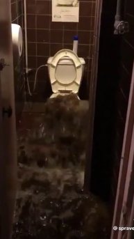 Какой этаж называют "еврейским" и почему?