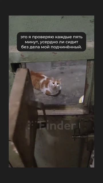 Поиск сотрудников с гарантией на finder.work