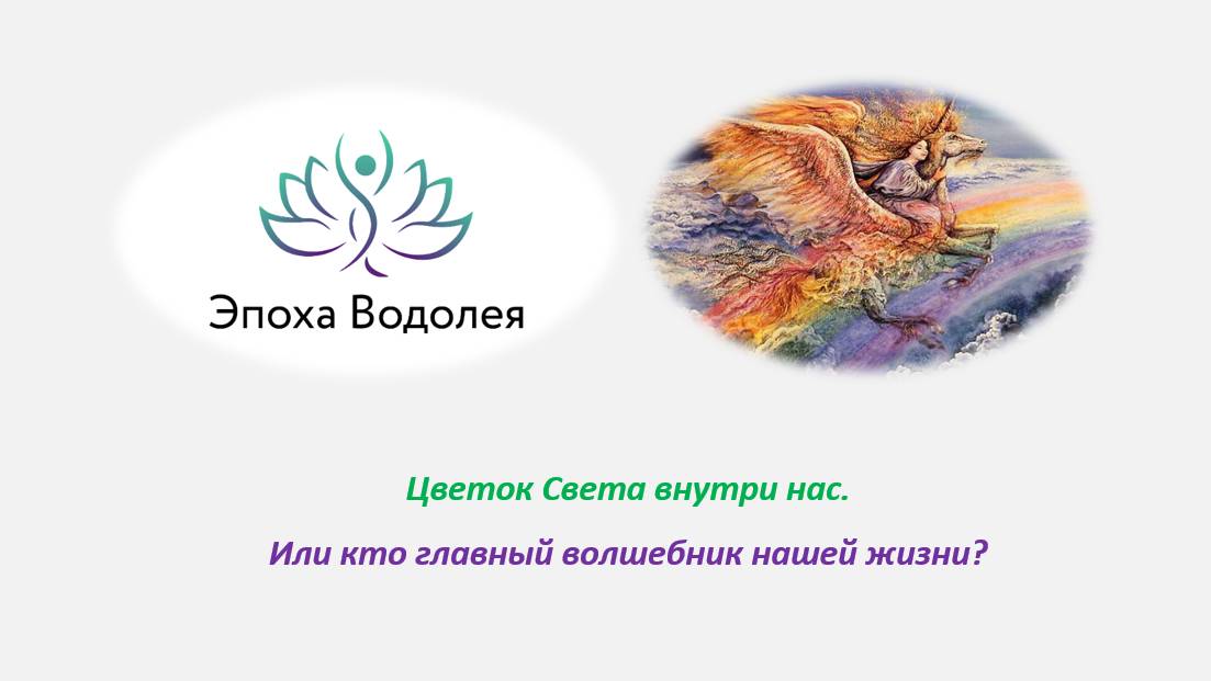 Цветок Света внутри нас. Или кто главный волшебник нашей жизни_