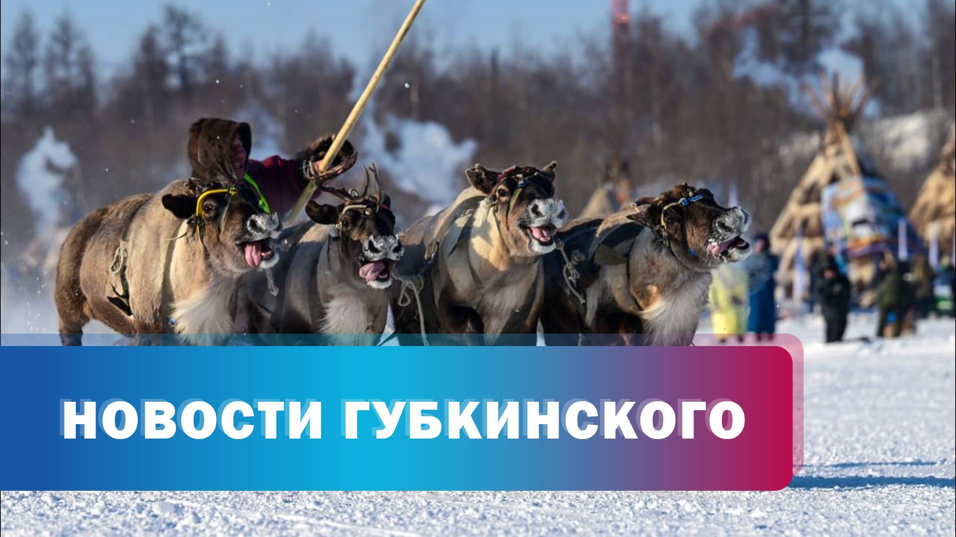 Анонс дня оленевода