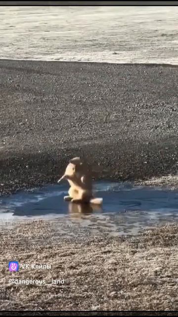 ФРИСТАЙЛО .mp4