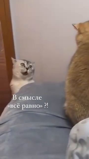 😂😂😂