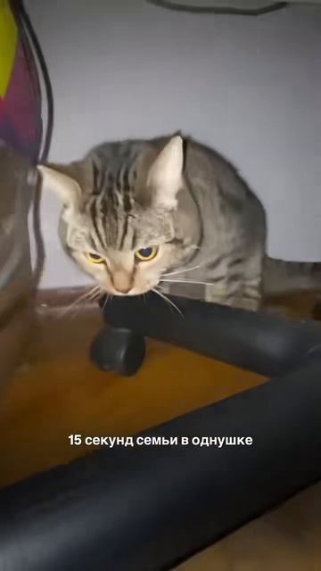 15 секунд в однушке
