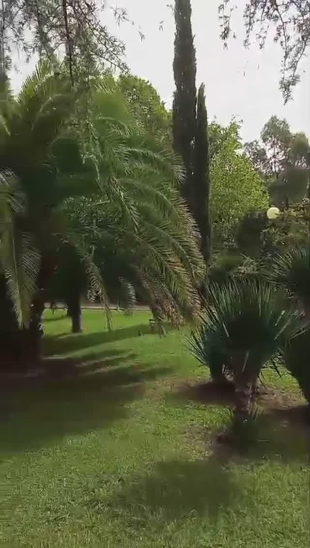 Счастье живет рядом с нами