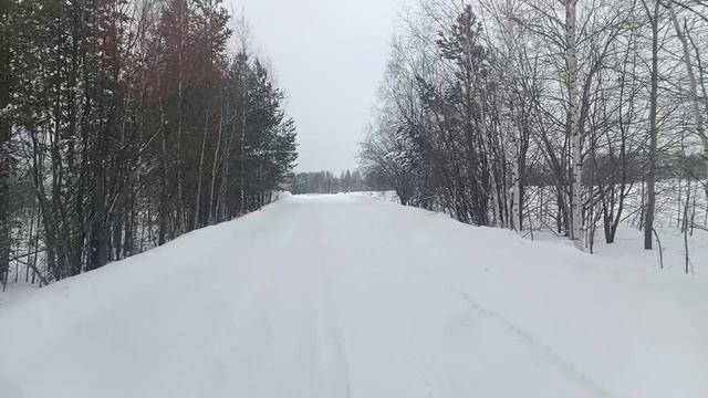 Зимние размышления: Вдохновение от природы и Аллаха