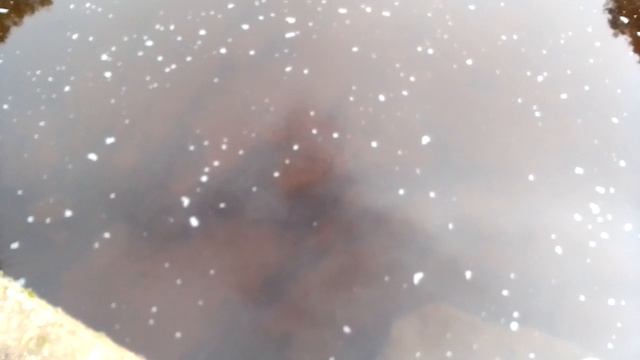 Мост через реку Бойня у д. Горшков Ржевского района Тверской области.