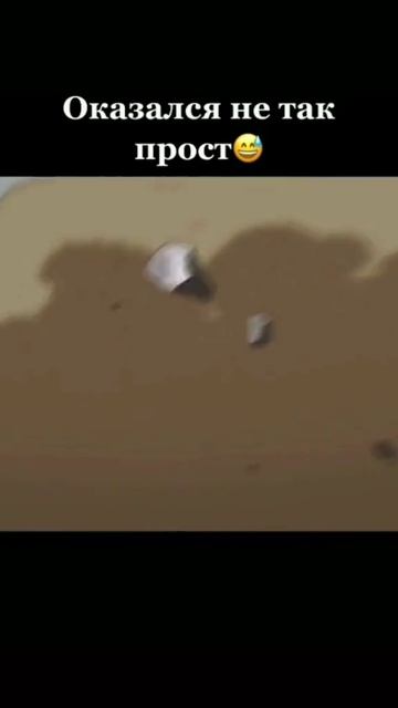 @jairo_the_heron=aba8b1.mp4