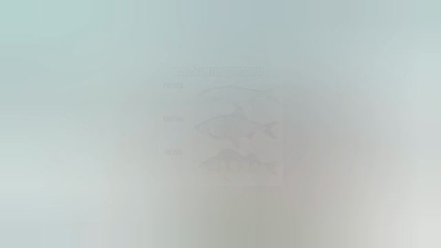 Инфографика и баннеры на заказ. Мои работы
