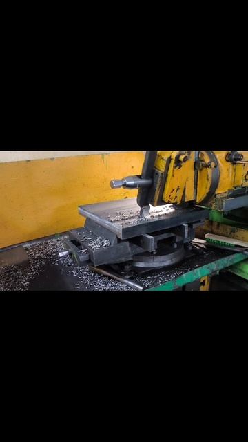 scene_output.mp4