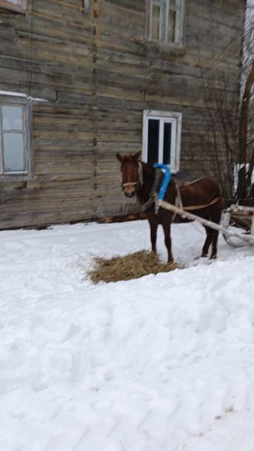 14 февраля