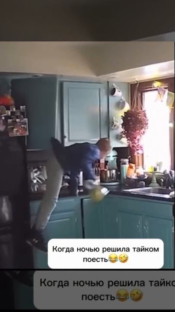 1000028726.mp4